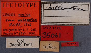 Media type: image;   Entomology 35061 Aspect: labels